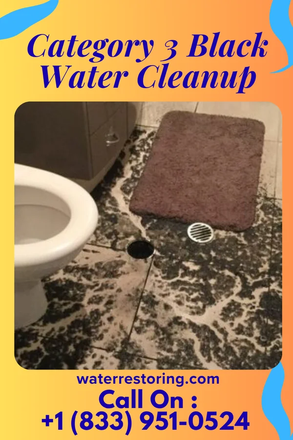 Category 3 Black Water Cleanup in Macedonia, IA
